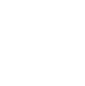 icon2